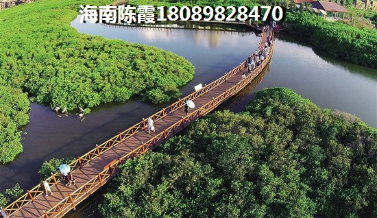 屯昌买房