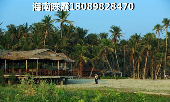 屯昌壹号怎么样？