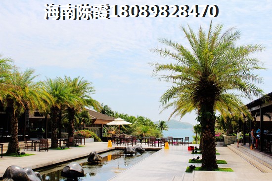 海南屯昌县购房生纸潜力解读2024~辽宁人在屯昌购房会后悔吗？