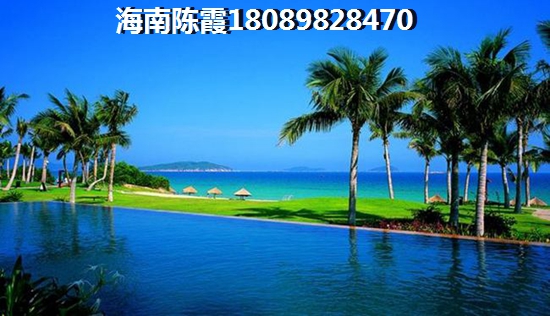 陆飞是谁