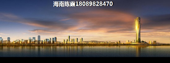 陆飞翔个人简历