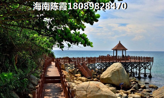沈阳市百鸟公园是几a景区