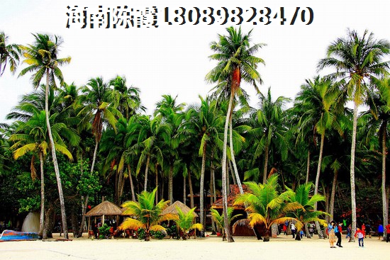 天镜湖周边有什么景点吗
