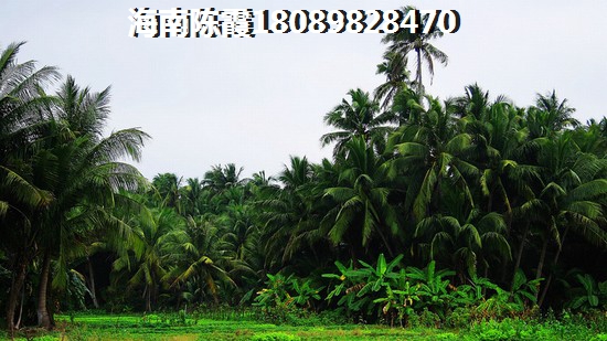 辽源房子便宜？为什么touzi吉林辽源房地产？