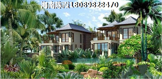 新青森有什么景点