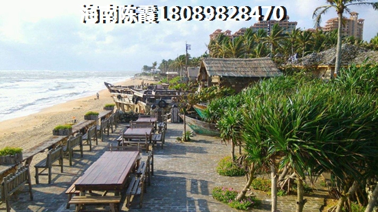 爱你的小笨蛋是什么意思