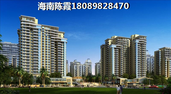 凤蝶科技有限公司