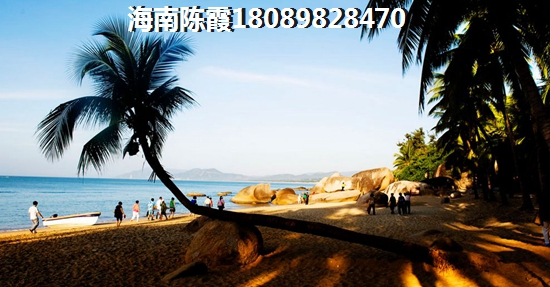 剥读音是什么意思啊怎么读