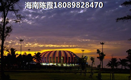 何纸是什么意思