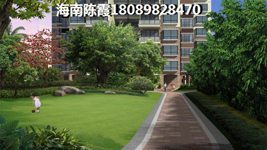 直播开发简历模板软件推荐